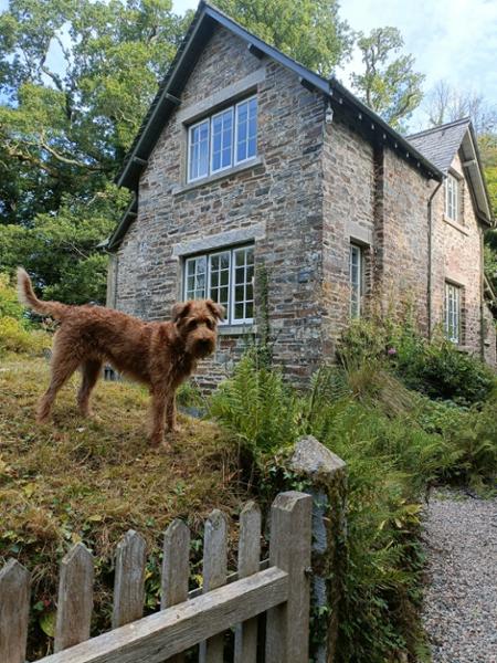 Elbow Cottage