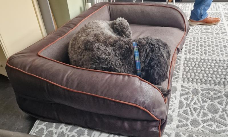 A good night's sleep