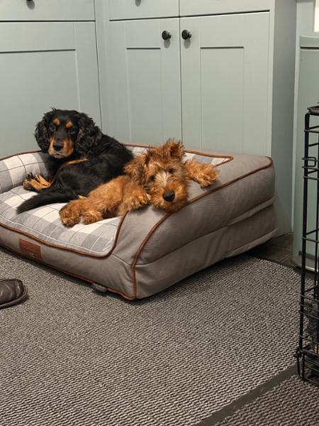 Amazing sofa bed!