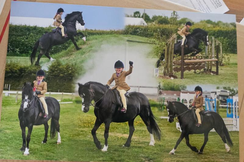 Loving Blue Chip for our best boy.