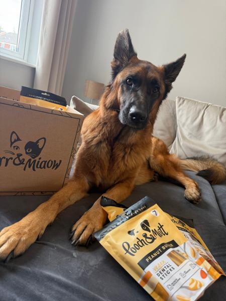Peanut Butter Dental Sticks | 7 Sticks | Peanut Butter Chews For Dogs | Grain-Free & Vegan | Vet Recommended | Natural Ingredients | Pooch & Mutt