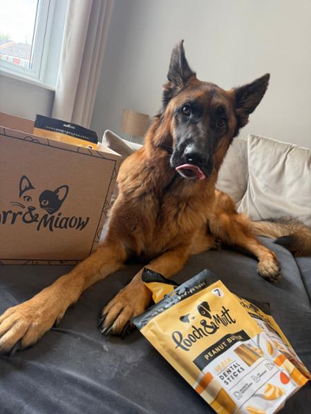Peanut Butter Dental Sticks | 7 Sticks | Peanut Butter Chews For Dogs | Grain-Free & Vegan | Vet Recommended | Natural Ingredients | Pooch & Mutt