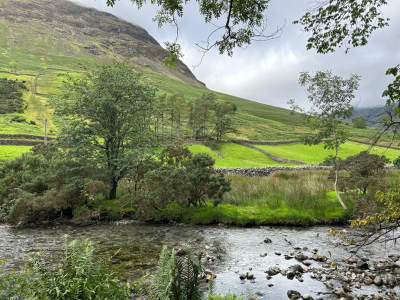 Wasdale Campsite
