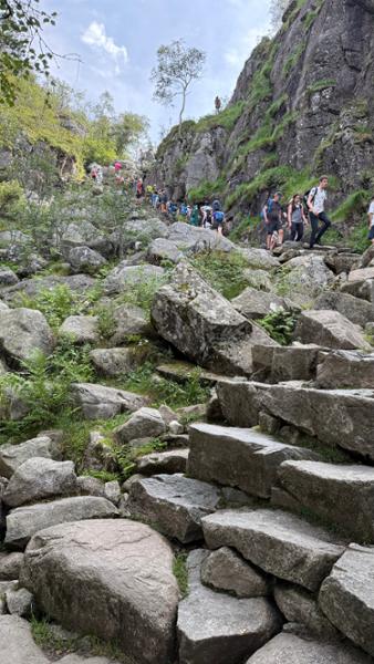 Your tour in Alesund - Island Discovery