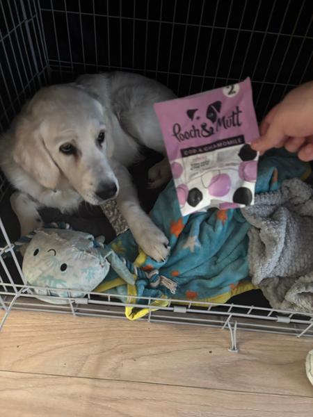 Fish Chews Bundle