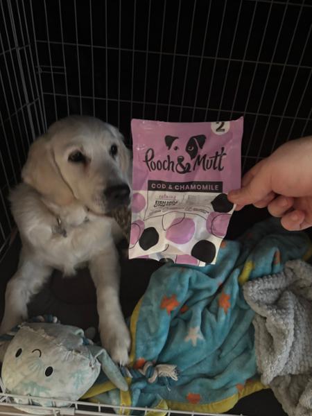 Dental Stick Bundle For Dogs