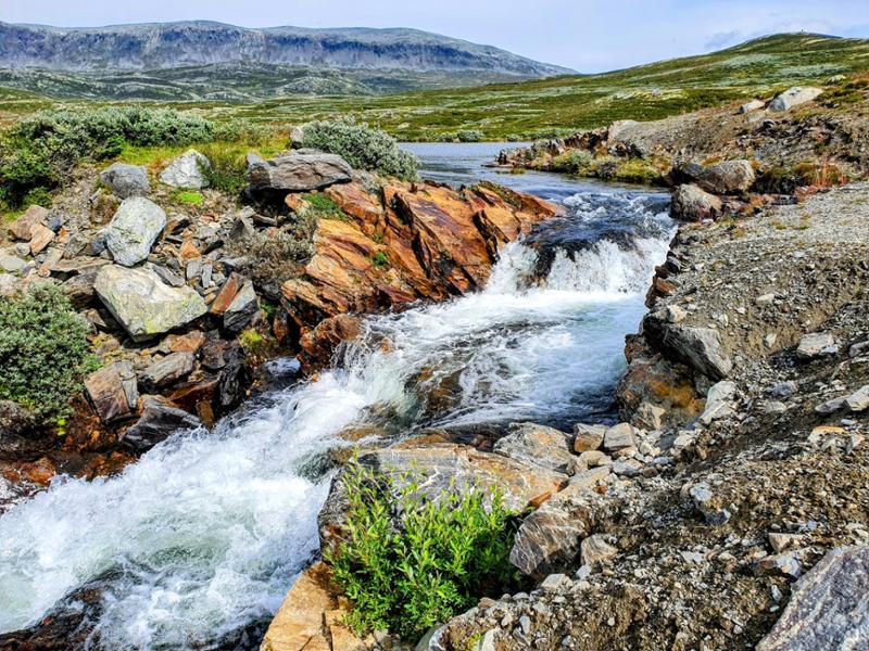 Synd at det å reise alene blir så mye dyrere enn når man har reisefølge.