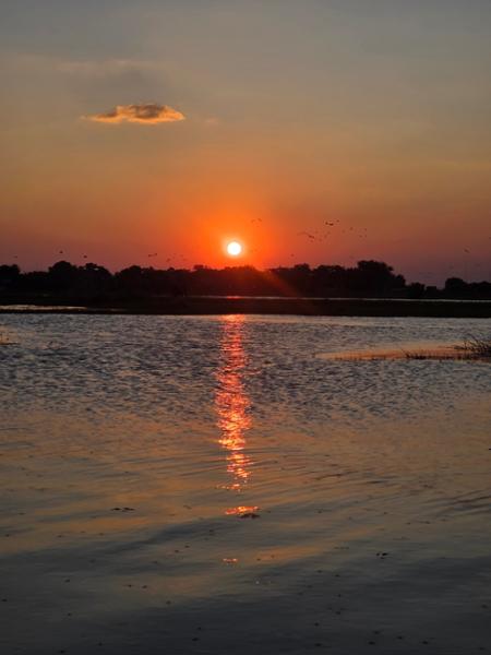 Our trip to South Africa, Zimbabwe and Botswana  was a once in a lifetime !