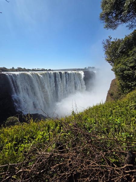 Our trip to South Africa, Zimbabwe and Botswana  was a once in a lifetime !