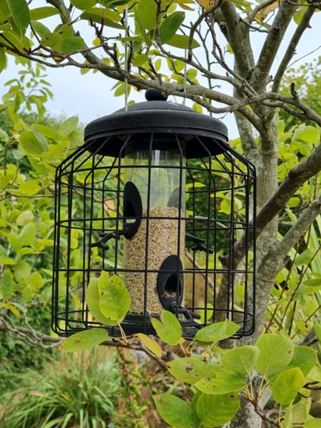 National Trust 6-Port Metal Feeder and Hi-Energy No Mess Bundle
