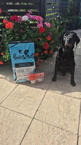 Sensitive Stomach Dry Dog Food | 10kg | Grain-Free Dog Kibble For Digestion Issues | Pooch & Mutt | Vet Recommended