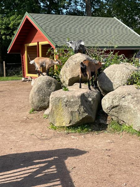 Ekebacken Hotell & Konferens