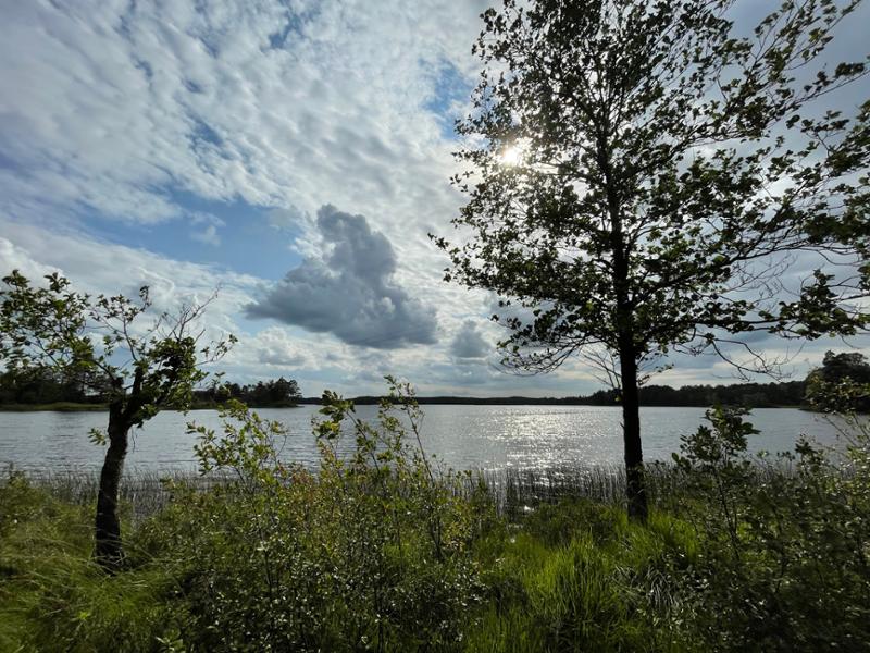 Ekebacken Hotell & Konferens