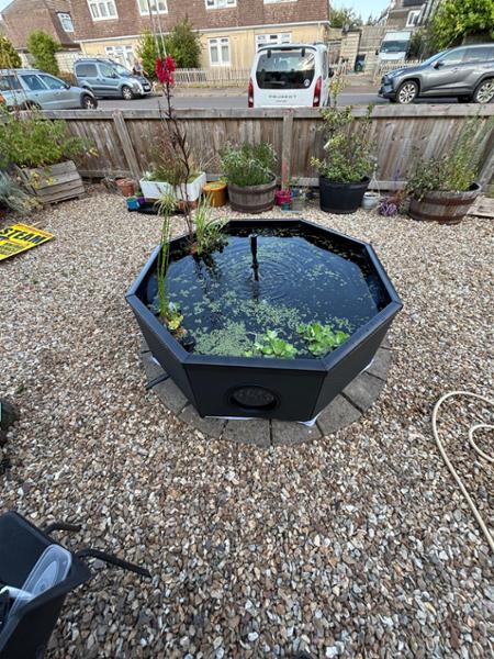 Fantastic service from start to finish