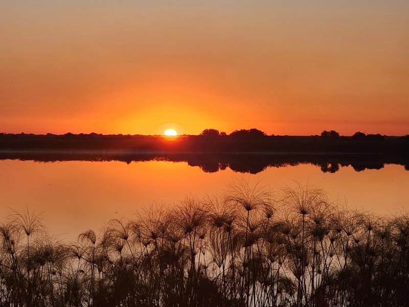 Okovanga  Delta and Safari in South Africa adventure