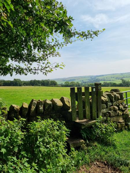 Fantastic walking experience