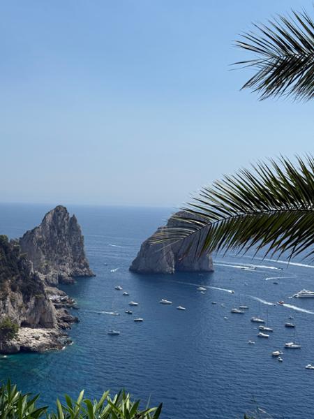 Your tour in Marseille - A Stroll Around Old Marseille