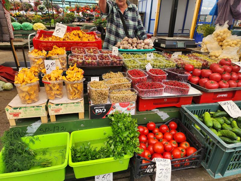 Highlights of the Baltics