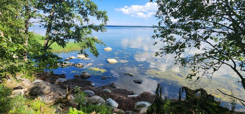 Highlights of the Baltics
