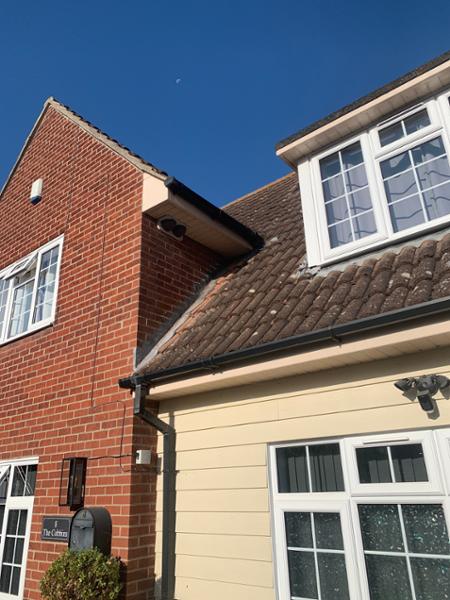 WoodStone® House Martin Nest - Double