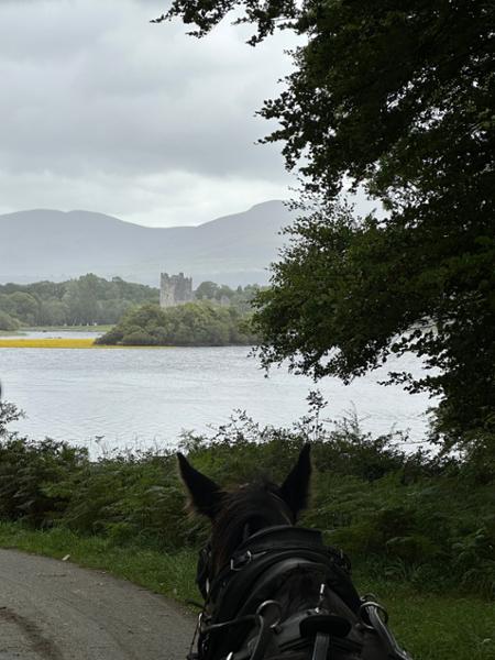 Ireland trip