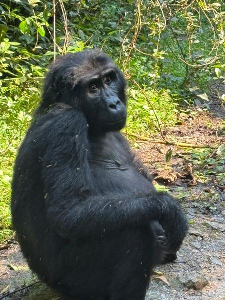 Highly Recommend Uganda Adventure