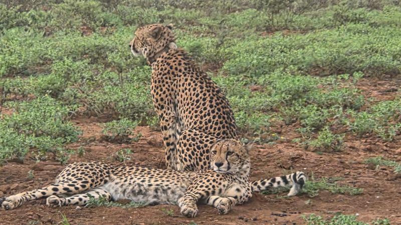 South Africa- you have to go!