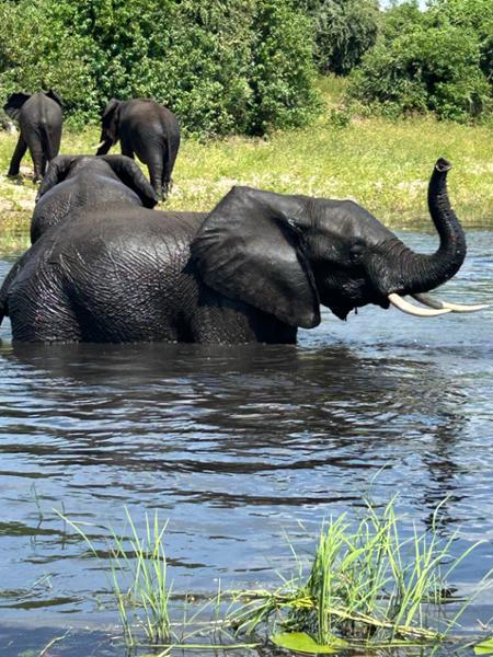 South Africa- you have to go!