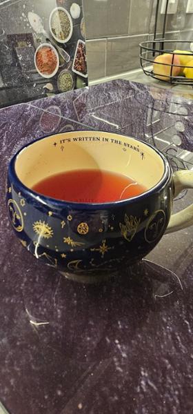 Starry Night Navy Crescent Moon Mug