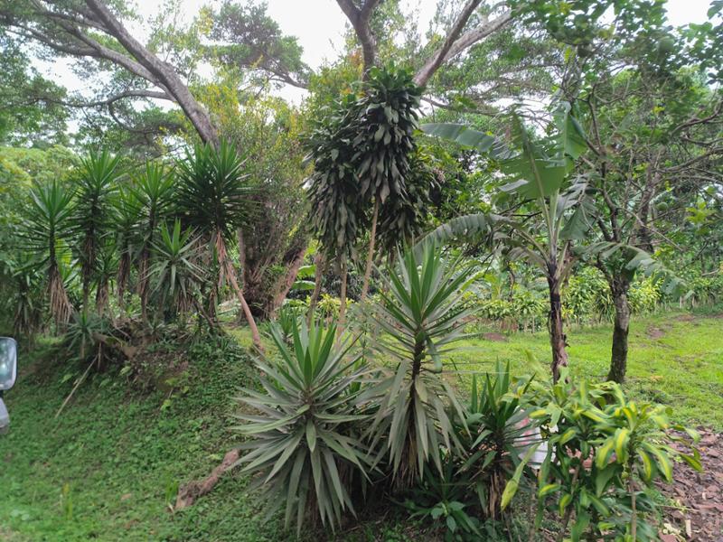 Nicaragua - Land of Lakes and Volcanoes