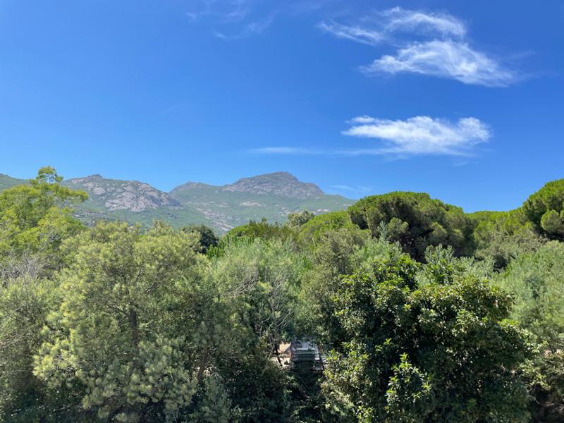 A beautiful holiday to Calvi thanks to Corsican Places!