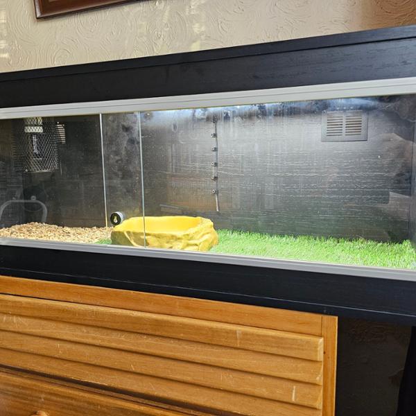 Vivarium