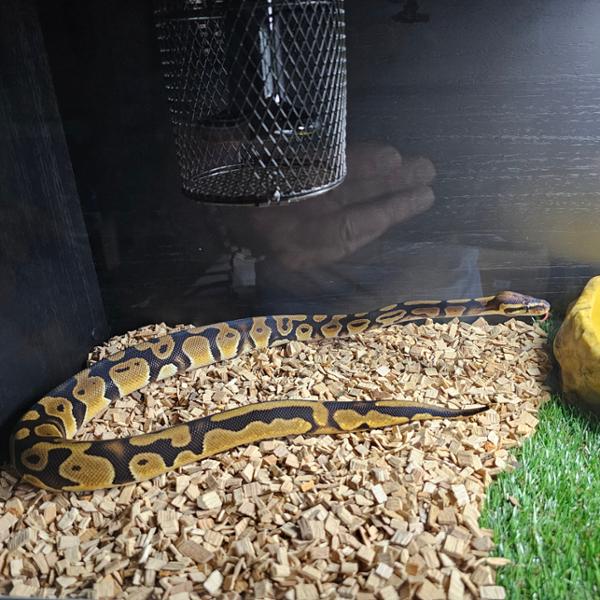 Vivarium
