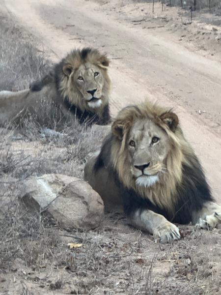 Approach Tours 2024 South Africa