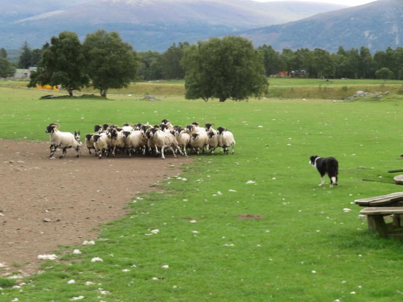 Scotland's Highlands, Islands and Cities