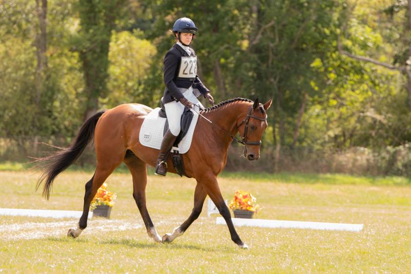 My horse has had excellent results even after a bout of colitis