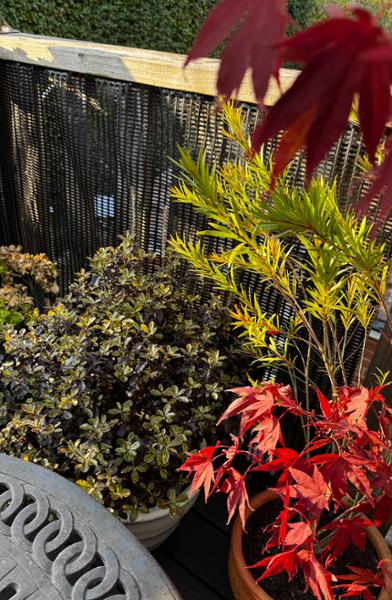 The Ideal netting for shade and wind reduction.