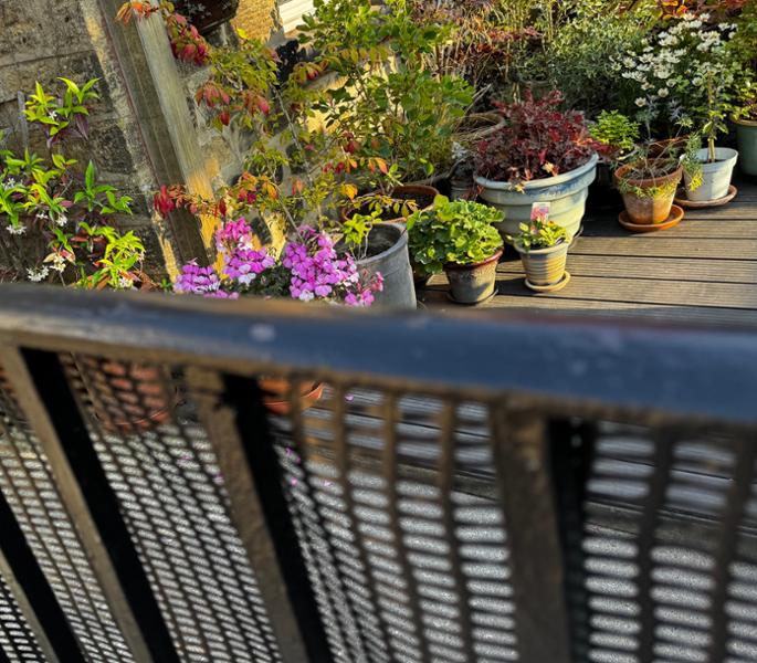 The Ideal netting for shade and wind reduction.