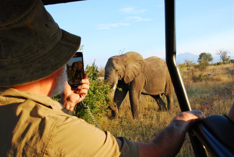 Awesome Game Drives in South Africa