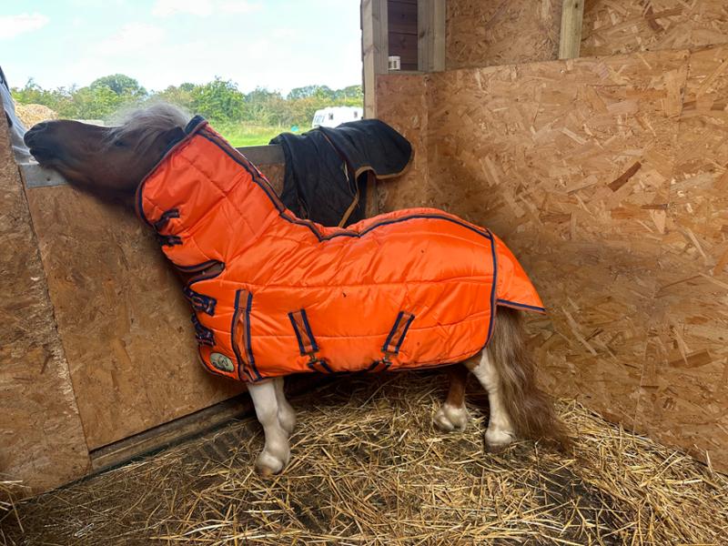 400g stable rug