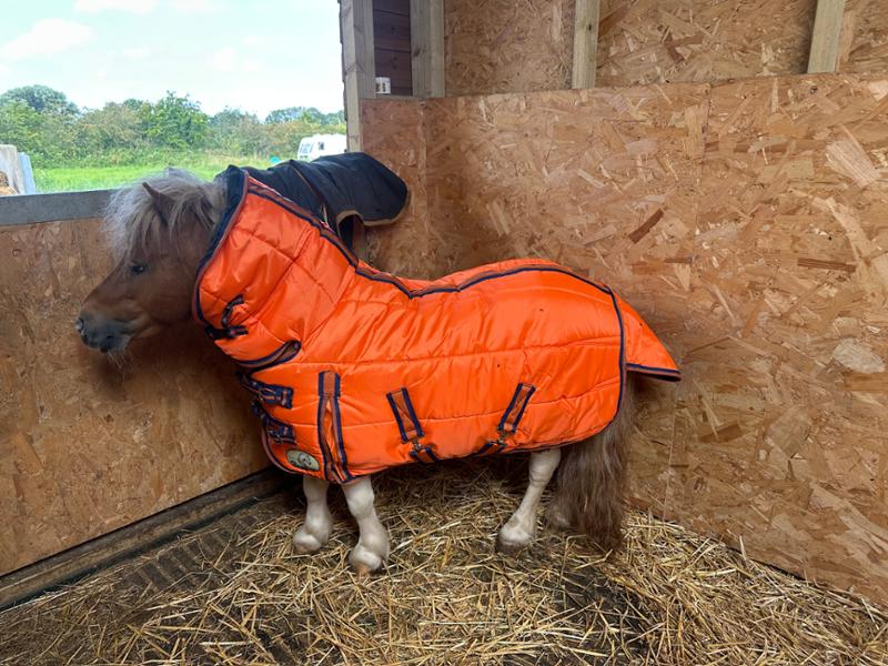 400g stable rug