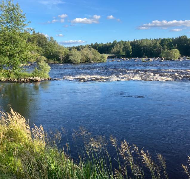 Gysinge Herrgård