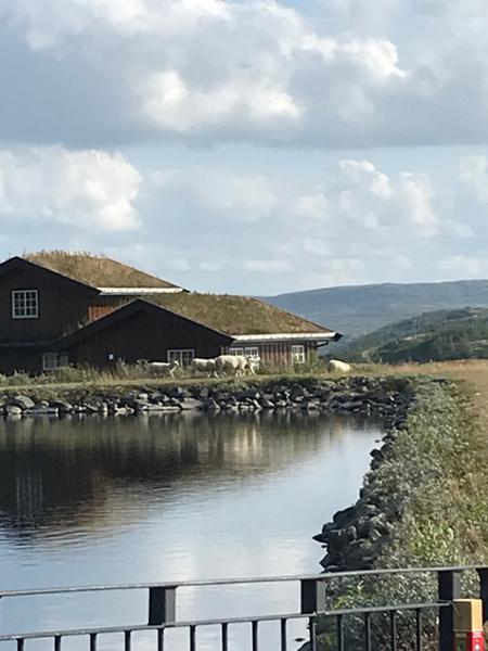 Rødungstøl Høyfjellshotel