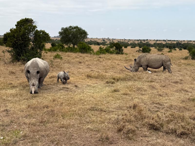 Extremely glad we went with Go2Africa for a vacation package.