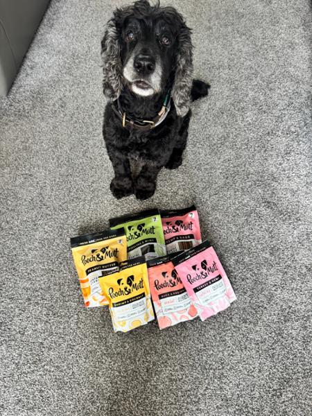 Dental Stick Bundle For Dogs