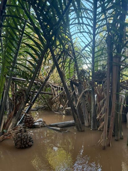 Inside Vietnam