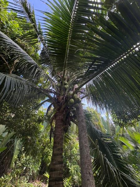 Inside Vietnam