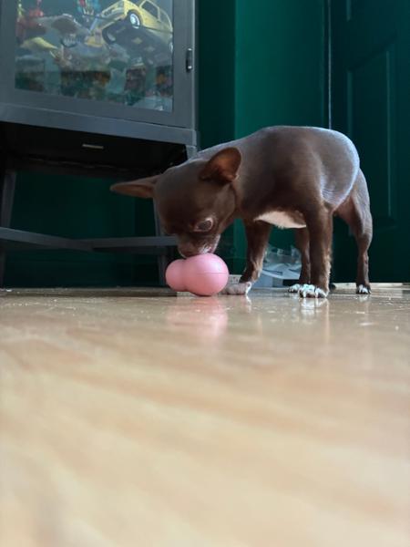 Frogg Robert Pink Small Tough Dog Toy