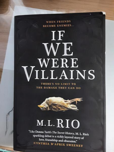If We Were Villains