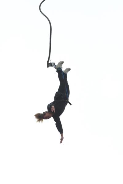 Bungee Up North